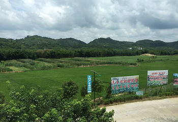 石表山休闲旅游风景区-古井景区第 13 张图片