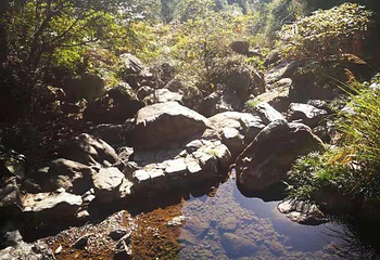 梁皇山景区第 45 张图片