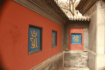 勅建弘慈广济寺第 26 张图片