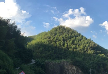 将军关探险漂流第 44 张图片