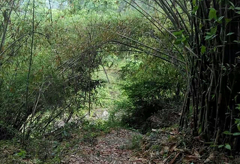 渔洞溶洞第 3 张图片