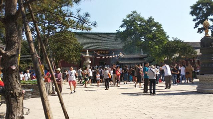 大悲禅院第 23 张图片