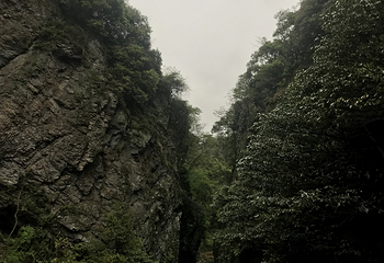 夏霖九天银瀑风景区第 32 张图片