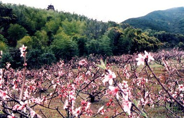 马岙旅游区第 5 张图片