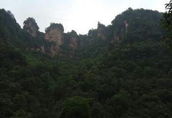 赤水丹霞旅游区·佛光岩第 36 张图片