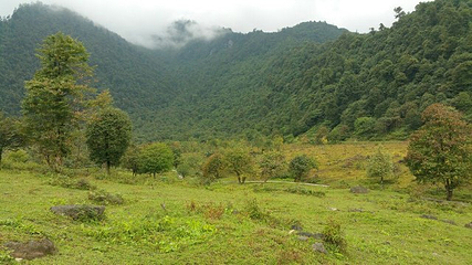 黑竹沟风景名胜区第 54 张图片