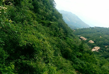 七峰山生态旅游区第 40 张图片