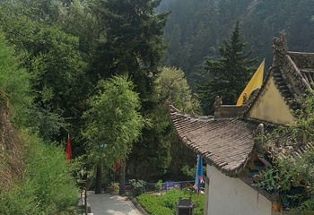 兴隆山自然保护区第 28 张图片