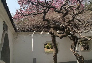 山东安丘青云山民俗游乐园第 33 张图片
