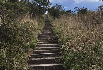 龙泉山旅游区第 47 张图片