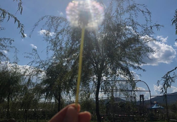 拉市海安中马场第 13 张图片