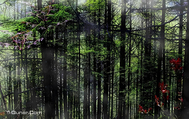 瓦屋山景区第 34 张图片