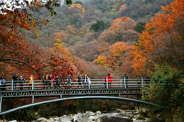 光雾山旅游景区第 119 张图片