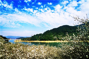 流溪河国家森林公园第 52 张图片