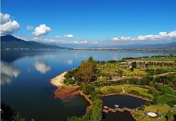 邛海国家湿地公园第 36 张图片