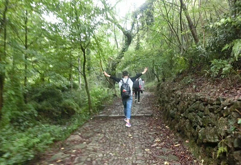 上青古道第 17 张图片