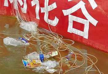 雨花谷薰衣草庄园第 24 张图片