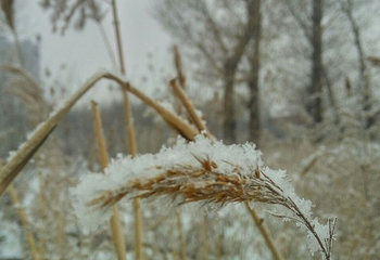 雅旺斯滑雪场第 26 张图片