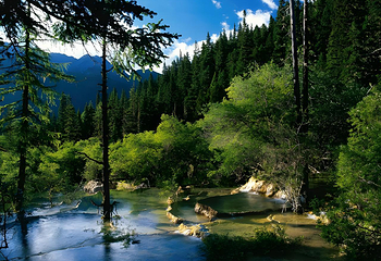 黄龙风景名胜区第 321 张图片