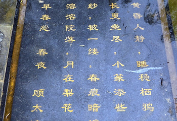 海淀公园第 27 张图片