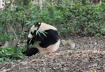 中国川菜文化体验馆第 28 张图片