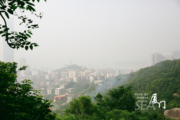 厦门园林植物园-五老峰第 31 张图片