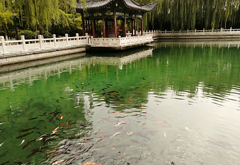 珍珠泉第 23 张图片
