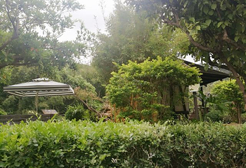 河源和平热龙温泉第 25 张图片