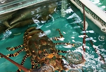 红博城千年走一回时光隧道博物馆群落第 12 张图片