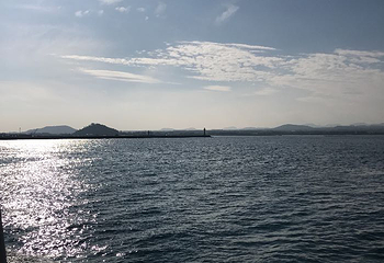 济州森林小火车第 8 张图片