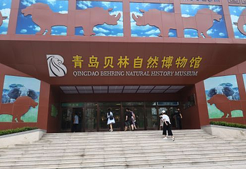 青岛贝林自然博物馆第 23 张图片