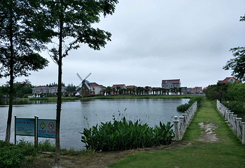 横沙岛第 18 张图片