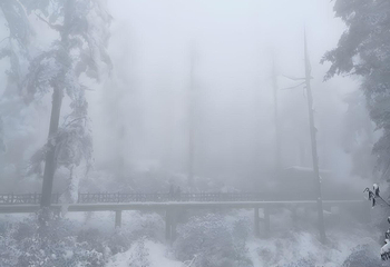 瓦屋山景区第 88 张图片