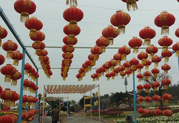 音乐百花谷第 47 张图片