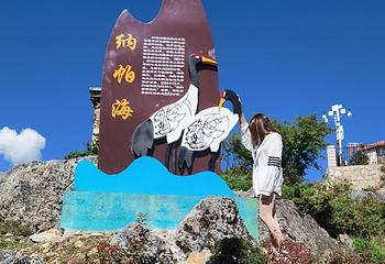 小中甸花海第 15 张图片