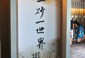 砂岛贝壳砂展示馆第 3 张图片