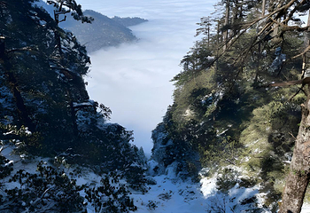 瓦屋山景区第 95 张图片