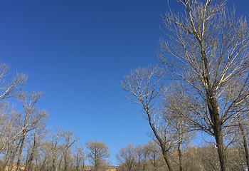 杀虎口风景名胜区第 18 张图片