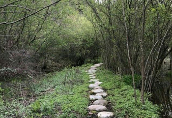 悠然山旅游度假区第 104 张图片