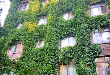 北京林业大学第 7 张图片