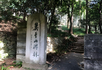 莫干山风景名胜区第 129 张图片