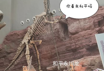 重庆自然博物馆第 3 张图片