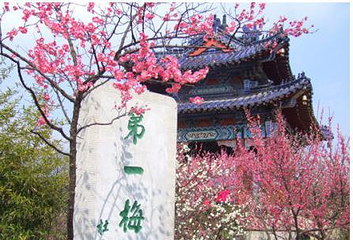梅花山第 4 张图片