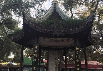 龙沙公园第 21 张图片