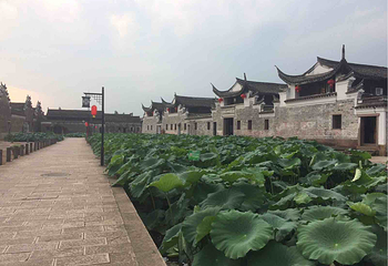 走马塘村第 3 张图片