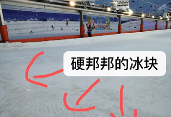 奇想探索乐园第 21 张图片