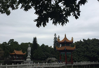 开元寺第 9 张图片