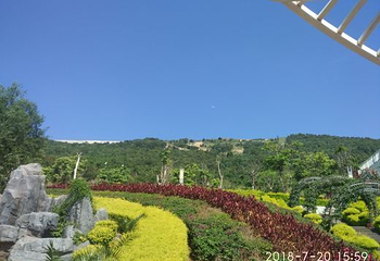 花舞人间景区第 15 张图片