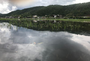 拉市海云上庄园会所第 10 张图片