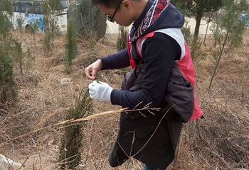 怀柔植树基地第 11 张图片